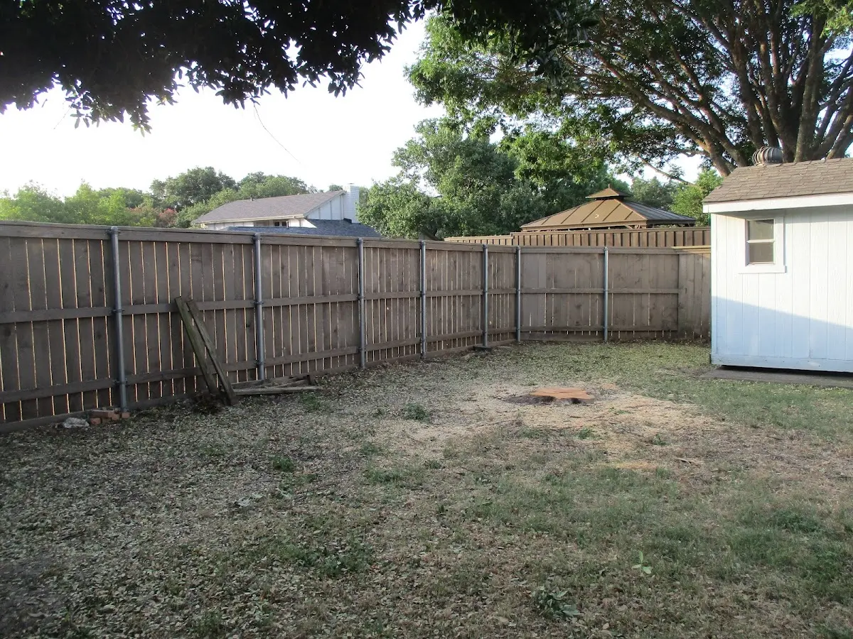 Cleared yard after professional tree removal in La Farge